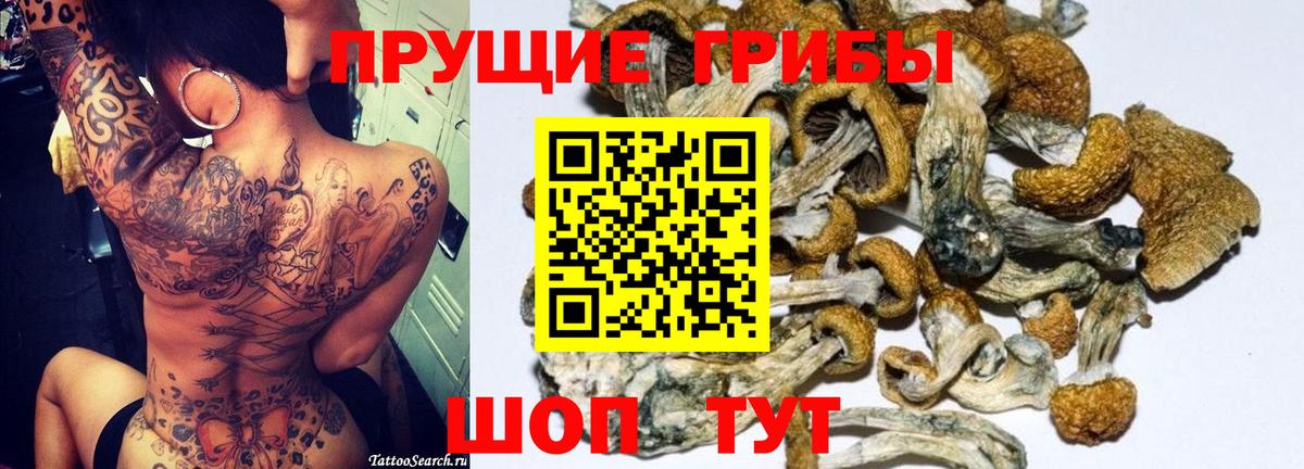Галлюциногенные грибы мицелий Тулун